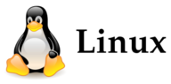Linux Terminal Server